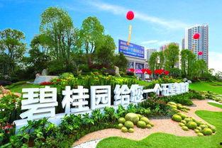 龙港碧桂园爆料最新消息,揭秘项目进展与亮点